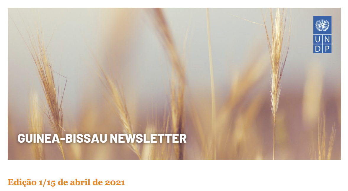 Guinea Bissau Newsletter